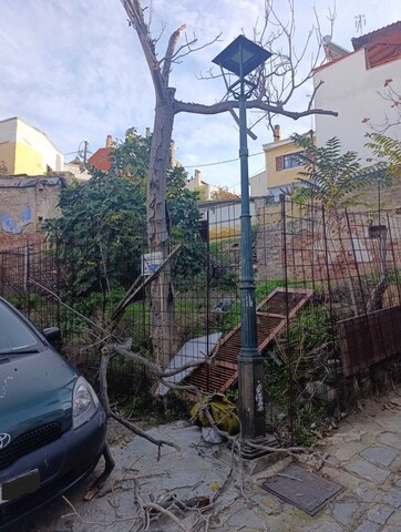 Φωτογραφία 4